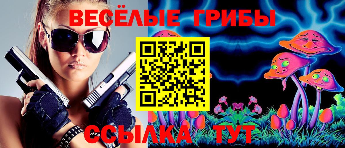 Псилоцибиновые грибы мицелий  Псилоцибиновые грибы Psilocybine cubensis  Баксан  Вход с VPN 