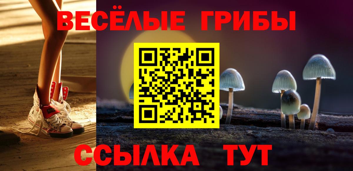 Гашиш Баксан